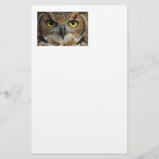 Papeterie Yeux de hibou