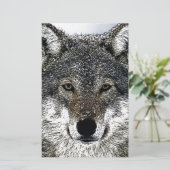Papeterie Yeux de loup (Debout devant)