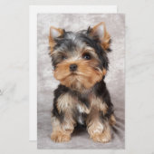 Papeterie Yorkie merveilleux (Devant / Derrière)