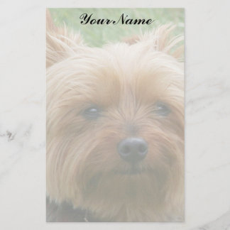 Papeterie Yorkshire Terrier