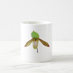 Paphiopedilum-orchidee botanische aquarelschilderi koffiemok