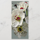 Paphiopedilum Orchids Intertwind Menu (Achterkant)