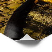 Paphos kust bij nacht - drone uitzicht perfect poster (Hoek)