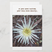 Papier (Voorkant / Achterkant)