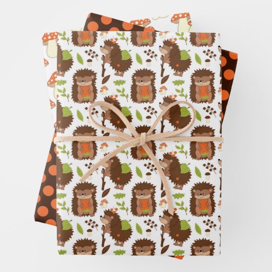 Papier à enveloppement de hérisson et d'amanita  (En situation)