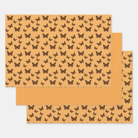 Papier à enveloppement de monarque (Lot)