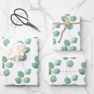 Papier à envelopper à l'eucalyptus