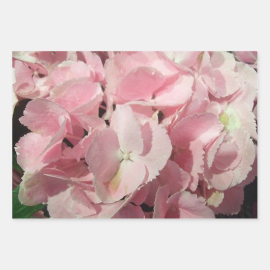 Papier à envelopper - Collection Hydrangea I (Devant)