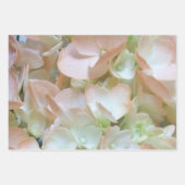 Papier à envelopper - Collection Hydrangea I (Devant 3)