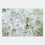 Papier à envelopper - Collection Hydrangea II (Devant 2)