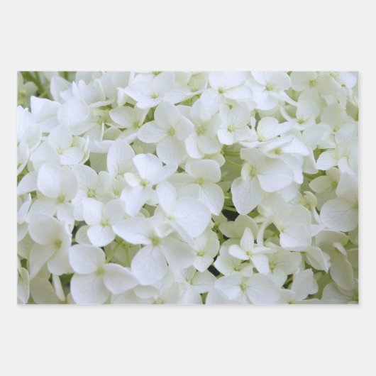 Papier à envelopper - Collection Hydrangea II (Devant 2)