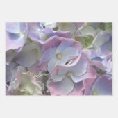 Papier à envelopper - Collection Hydrangea II (Devant 3)