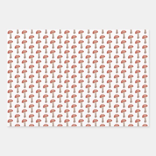 Papier à envelopper de tabouret magique (Devant 2)