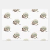 Papier à envelopper Feuille plate de 3 (Devant 2)