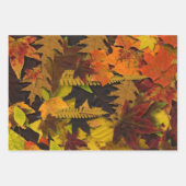 Papier à envelopper - Feuilles d'automne (Devant 2)