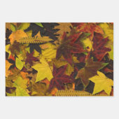 Papier à envelopper - Feuilles d'automne (Devant)