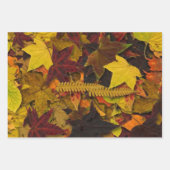Papier à envelopper - Feuilles d'automne (Devant 3)