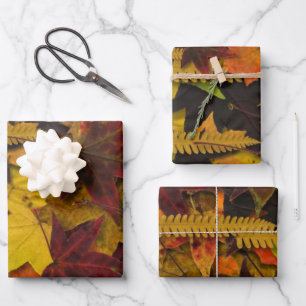 Papier à envelopper - Feuilles d'automne