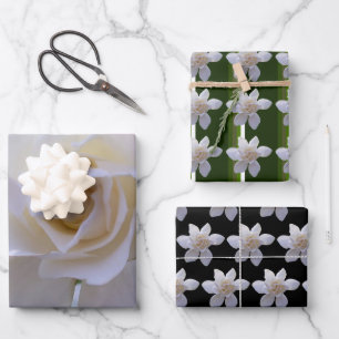 Papier à envelopper - Gardenias