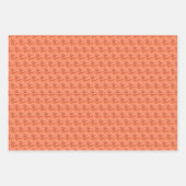 Papier à envelopper - Tequila Sunrise Zinnia (Devant 3)