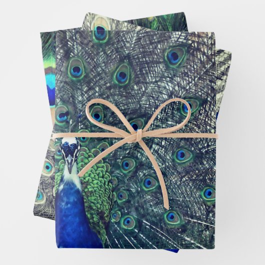 Papier à épluchage de paon (En situation)