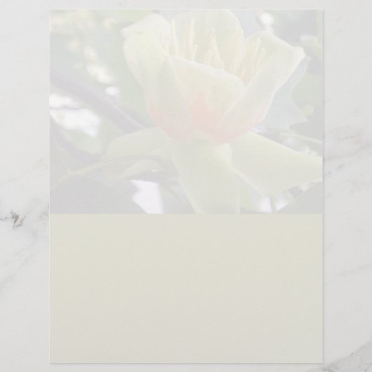 Papier à lettres Magnolia papeterie recyclé (Devant)