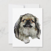 Papier à lettres Pekingese - carte blanche (Devant)