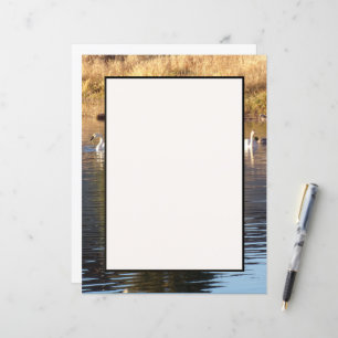 Papier à lettres Swans n Canards