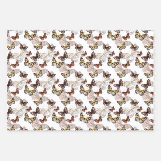 Papier à mouches monarques à envelopper (Devant 2)