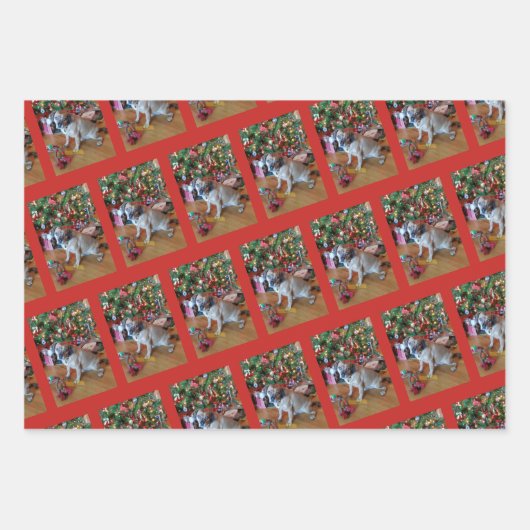 Papier à papier à envelopper pour bébé fourrure en (Devant 2)