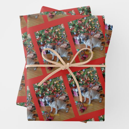 Papier à papier à envelopper pour bébé fourrure en (En situation)