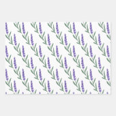 Papier à papier d'enveloppement d'herbe d'apotheca (Devant 3)