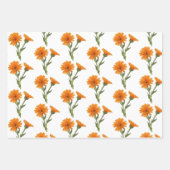 Papier à papier d'enveloppement d'herbe d'apotheca (Devant 2)