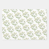 Papier à papier d'enveloppement d'herbe d'apotheca (Devant)