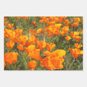 Papier à papier enveloppant de papillons californi (Devant)