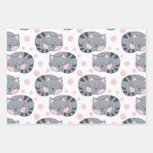 Papier à papier pour enveloppement de chats couché (Devant)