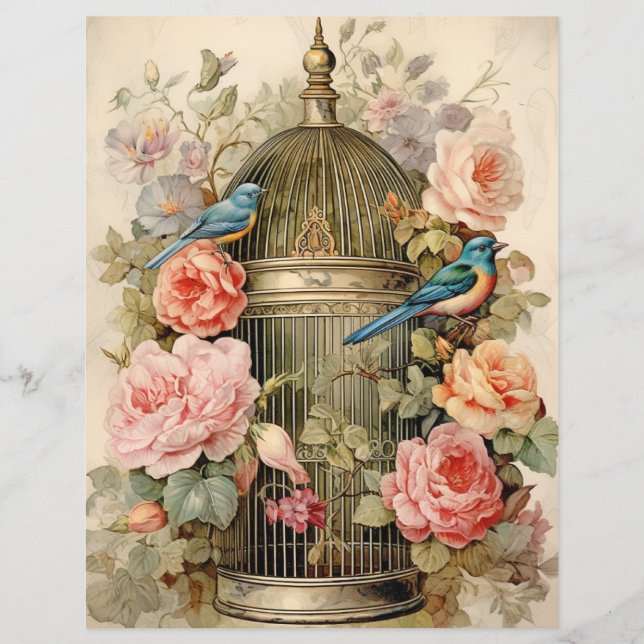 Papier à rebut de beauté Avian (Devant)