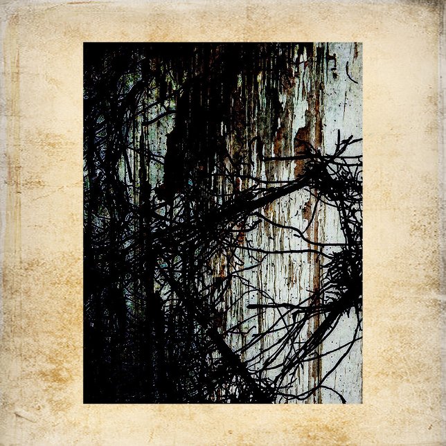 Papier à rebut de maison abandonné (Créateur téléchargé)