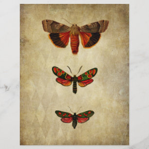 Papier à scandale vintage Red Moths
