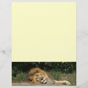 Papier à tête Lion