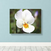 Papier à toile de Pansy sauvage (Insitu (Plancher de Bois))