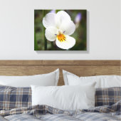 Papier à toile de Pansy sauvage (Insitu(Chambre))
