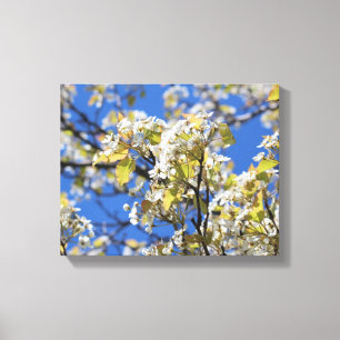 Papier à toile étirée en fleurs de cerisier