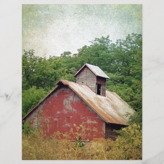 Papier Abandonné et surcultivé (Devant)