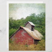 Papier Abandonné et surcultivé (Devant / Derrière)