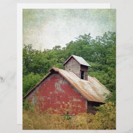 Papier Abandonné et surcultivé (Devant / Derrière)