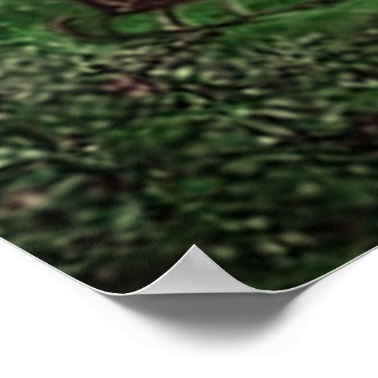 papier affiche fille jungle (Coin)