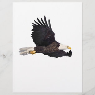 Papier Aigle à tête blanche
