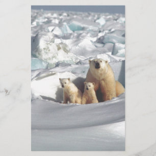 Papier Ajouter SLOGAN pour sauver les ours polaires arcti
