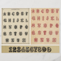 Alphabets Vintages authentiques de livres de l'épo